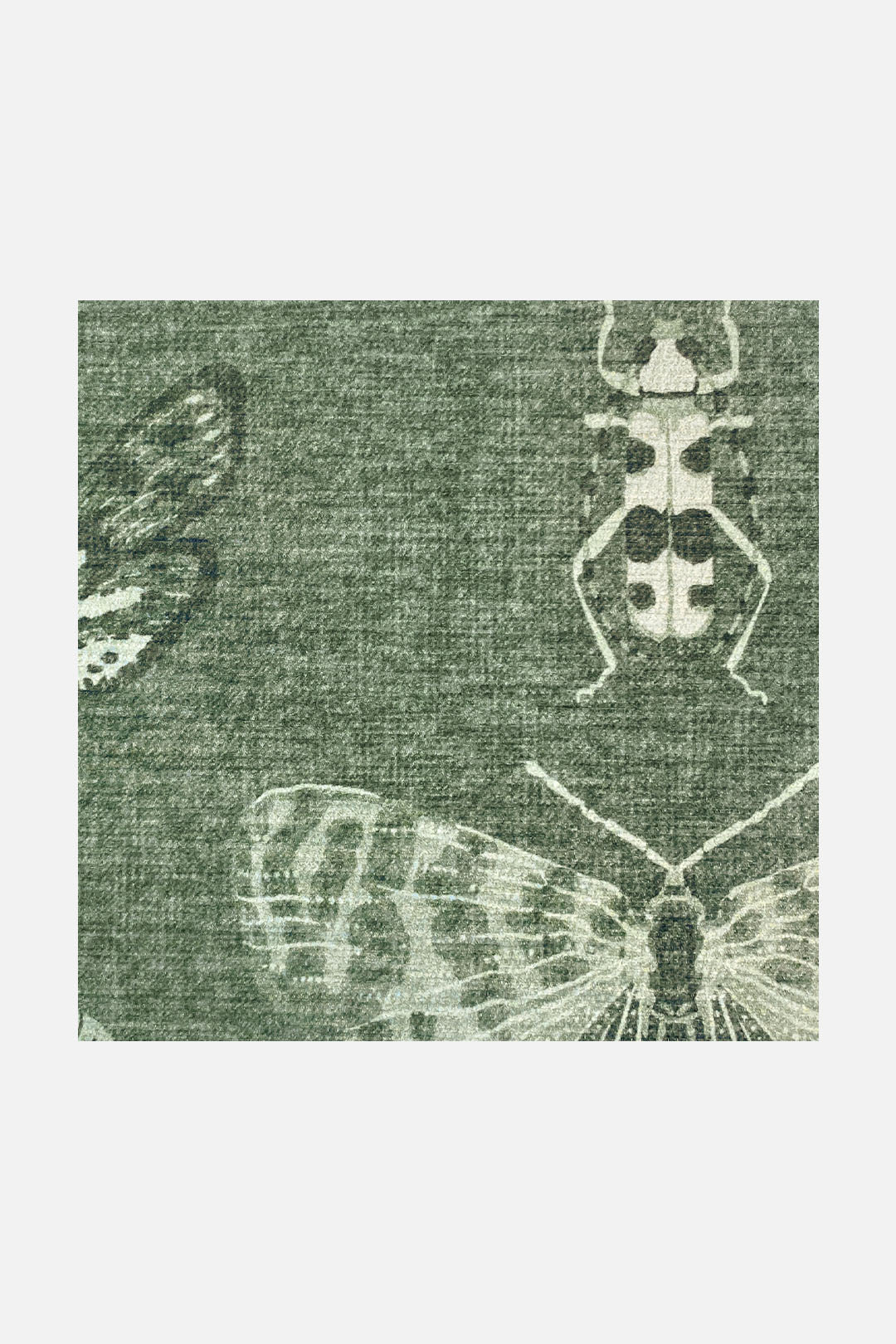 teppana-schmetterling-salbei-teppich-waschbar-gr-n image 3
