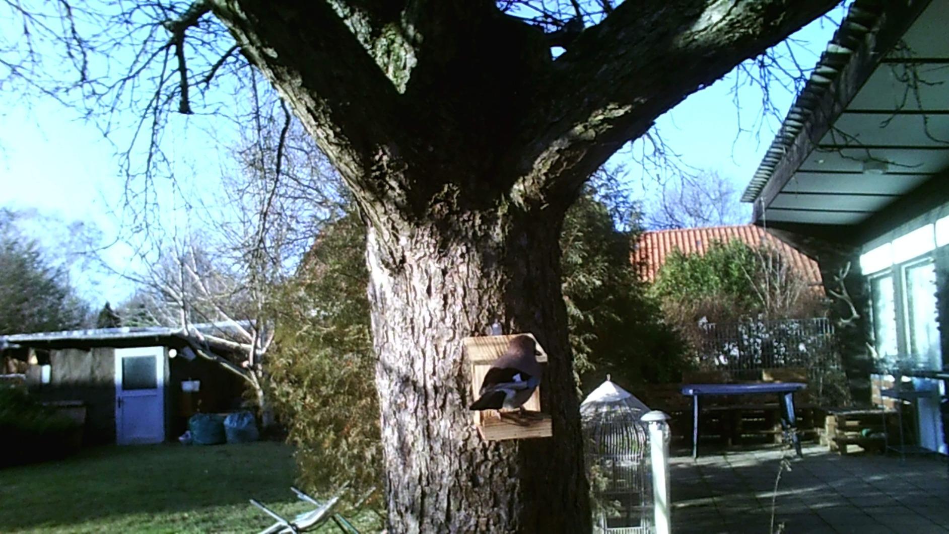 Idee gut, Holz dünn