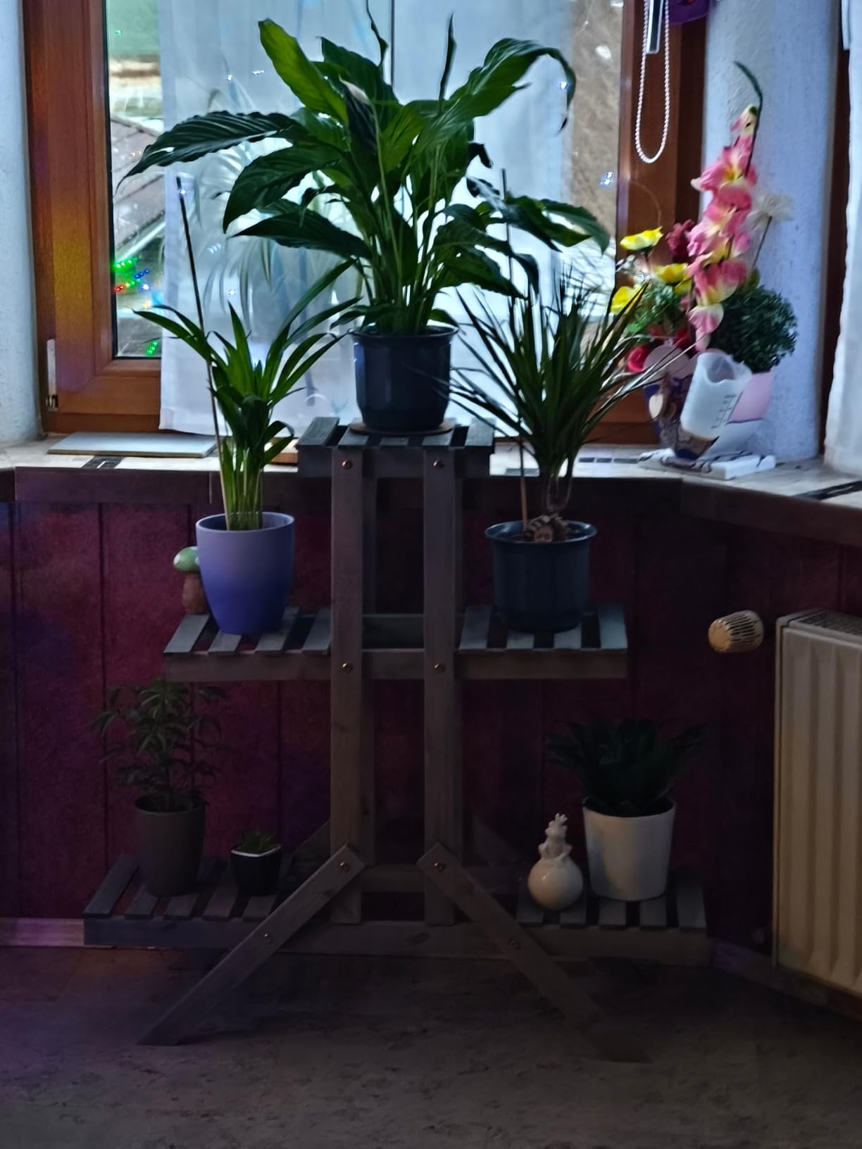 Perfekt für meine Orchideen