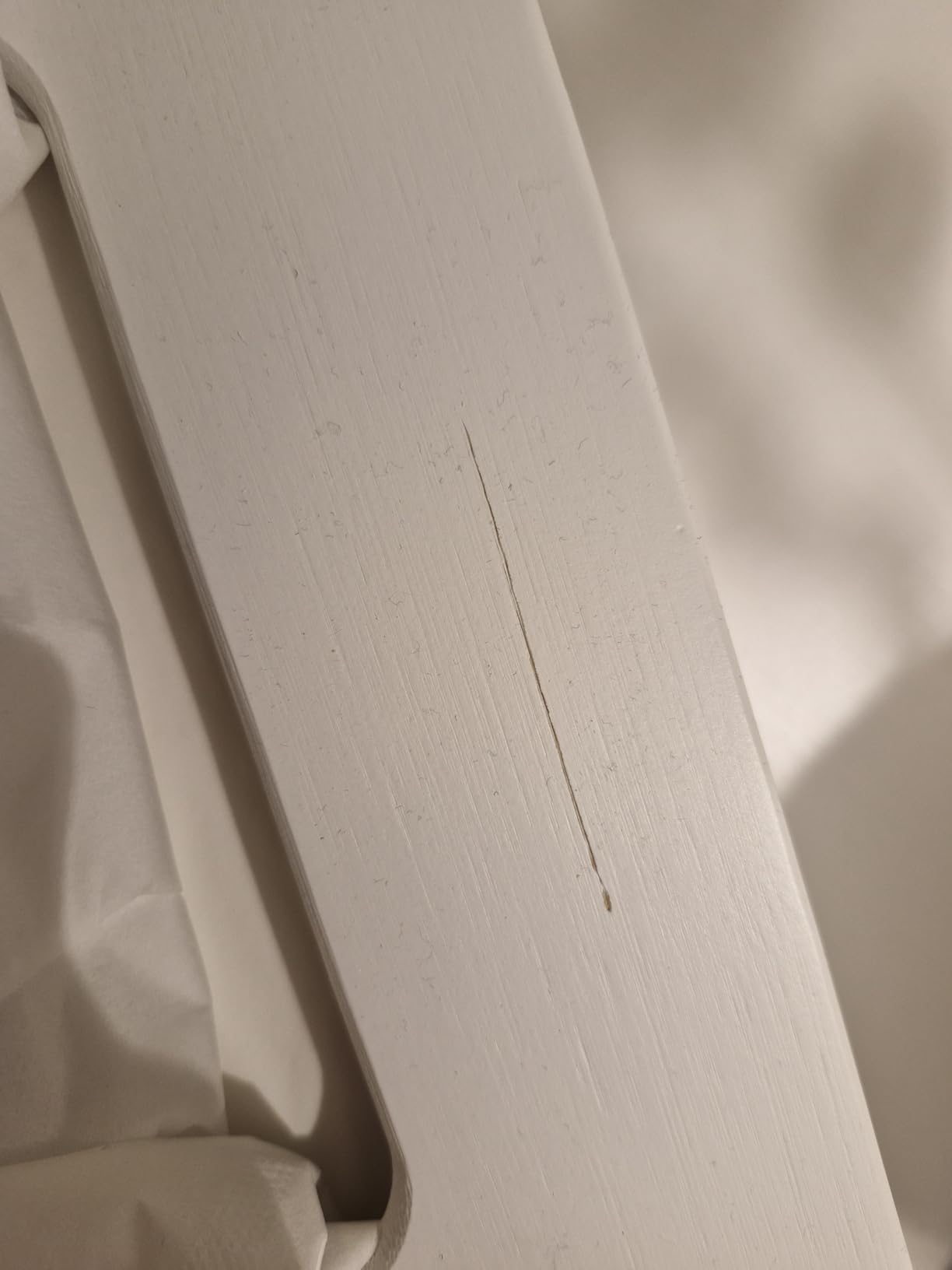 Top für Allergiker-Haushalt