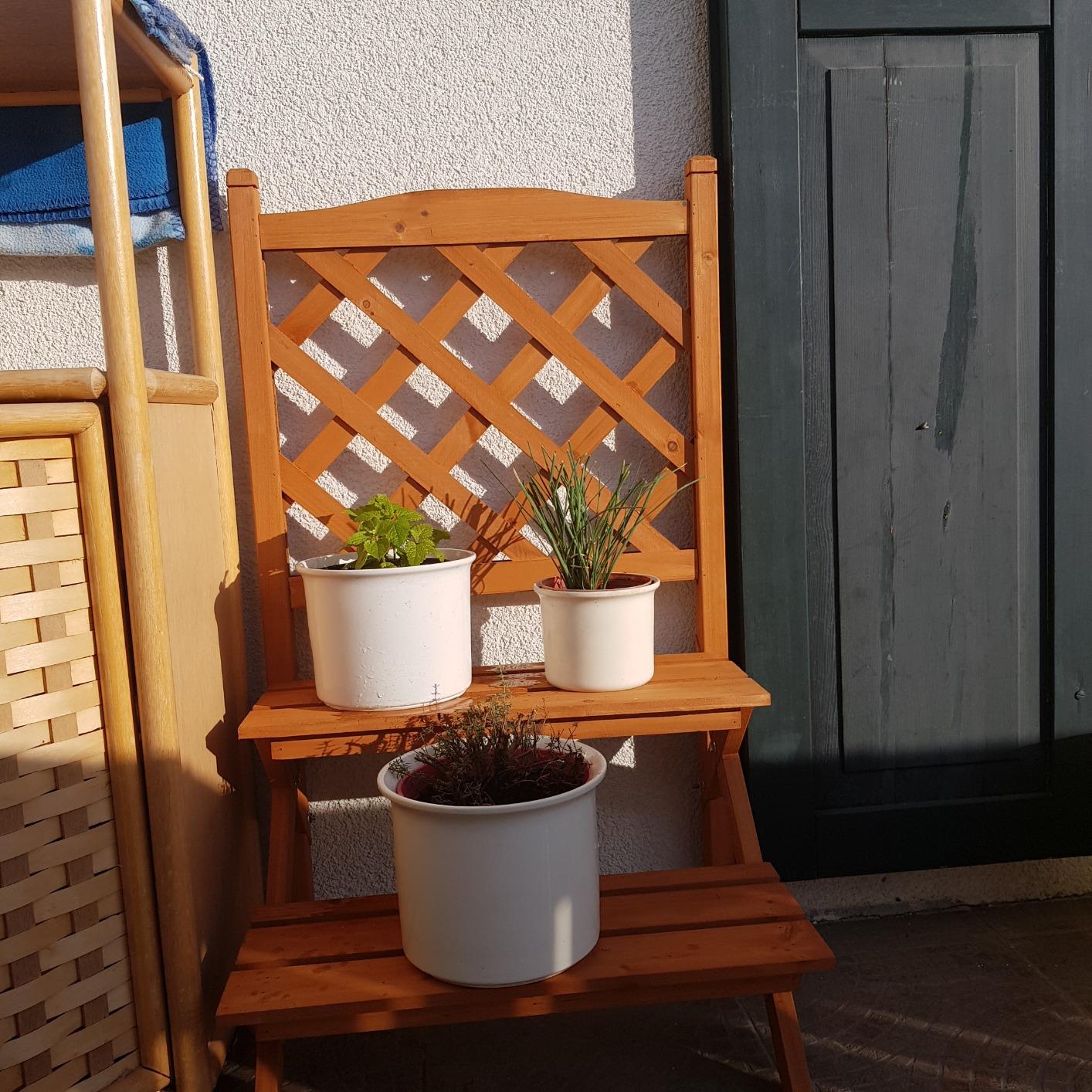 Toller Blickfang