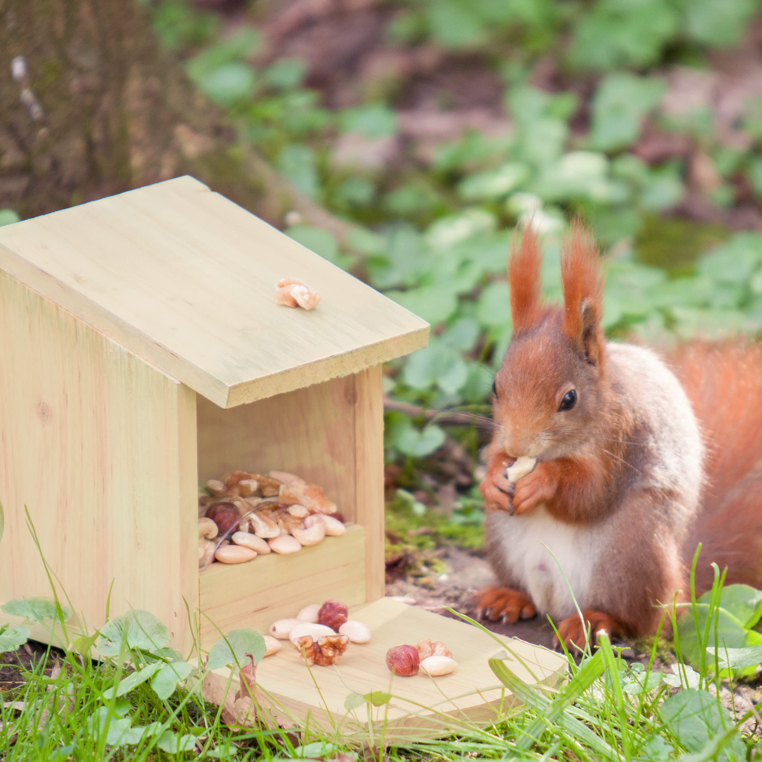 relaxdays-eichh-rnchen-futterhaus-zum-stellen-tannenholz-natur-17-5-x-12-x-25-cm image 2