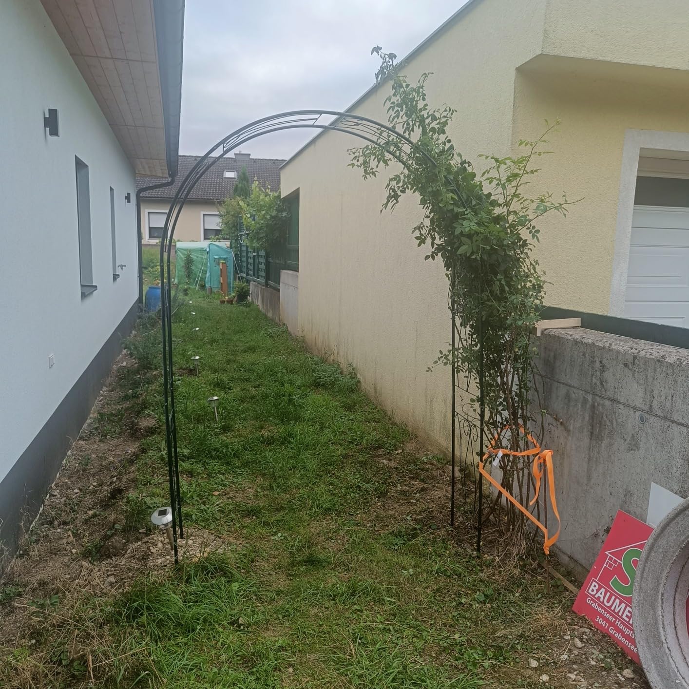 Toller Blickfang