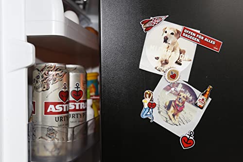 astra-k-hlschrankmagnete-6-teilig-magnet-set-st-pauli image 7