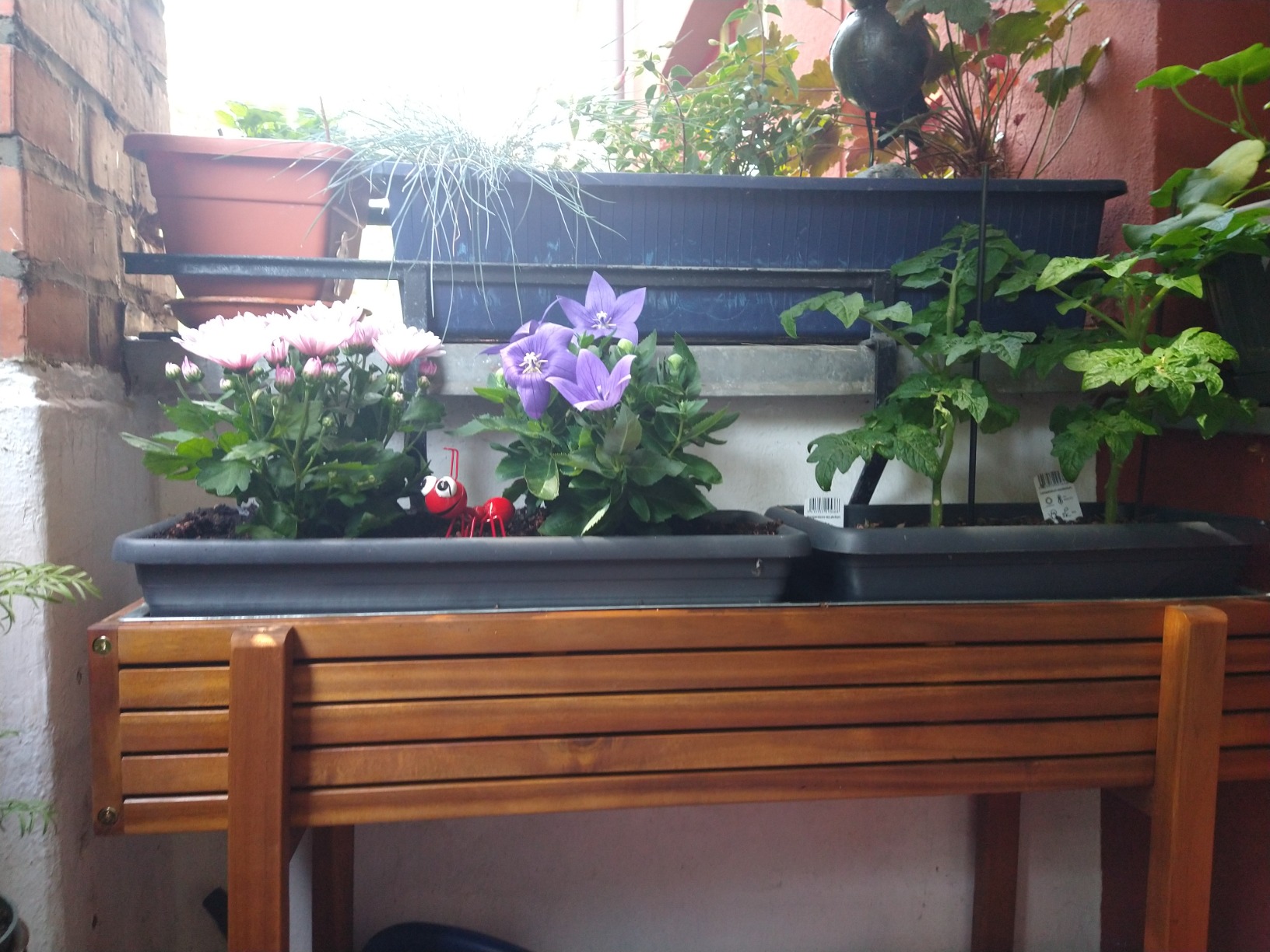 Kräuterparadies auf der Terrasse