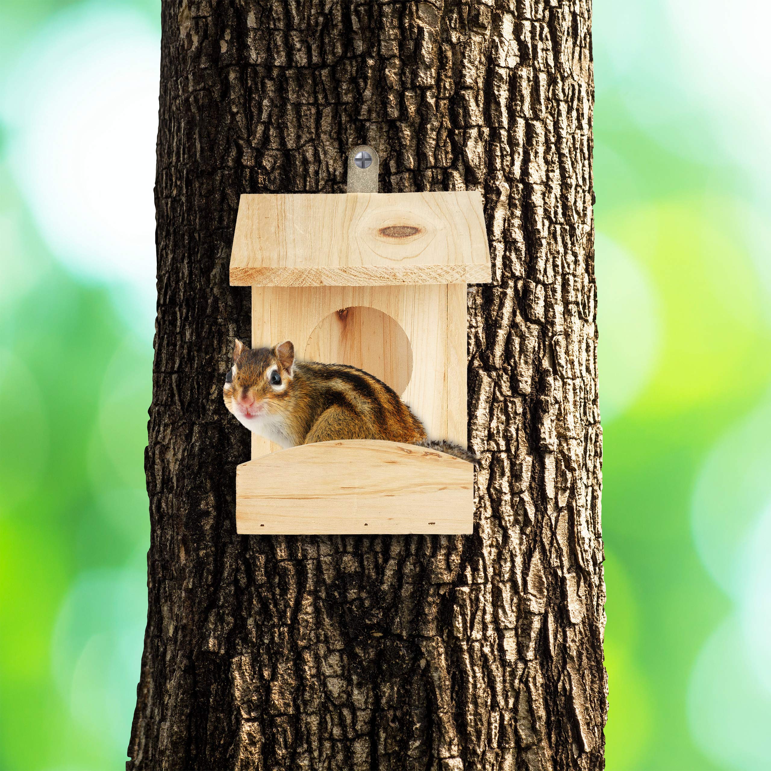 relaxdays-eichh-rnchen-futterhaus-zum-h-ngen-holz-natur-17-5-x-12-x-25-cm image 5