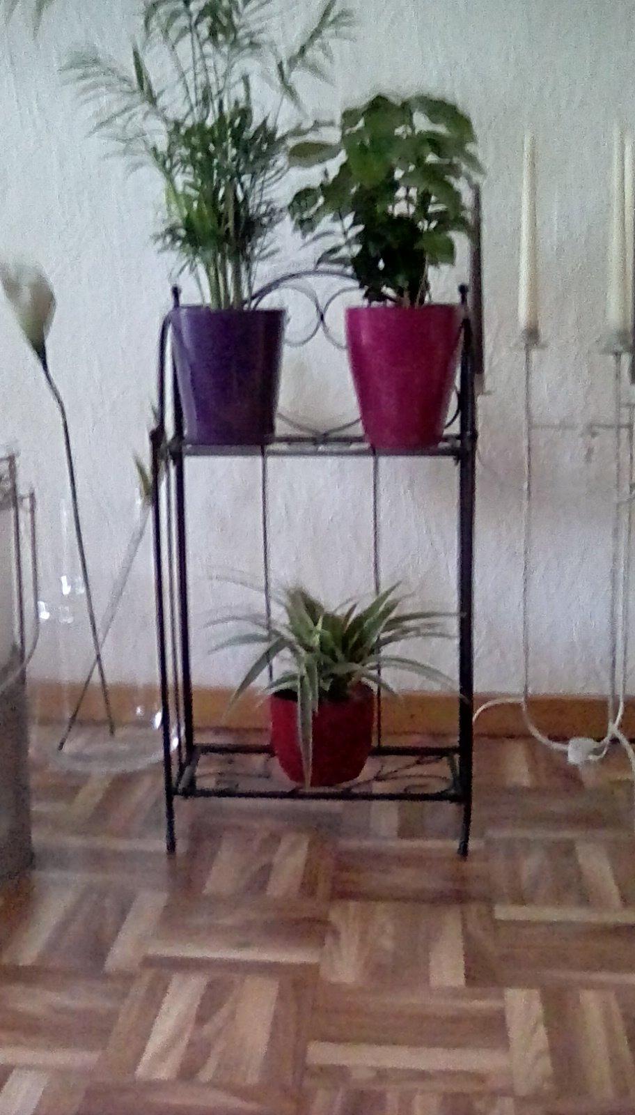 Schnell aufgebaut