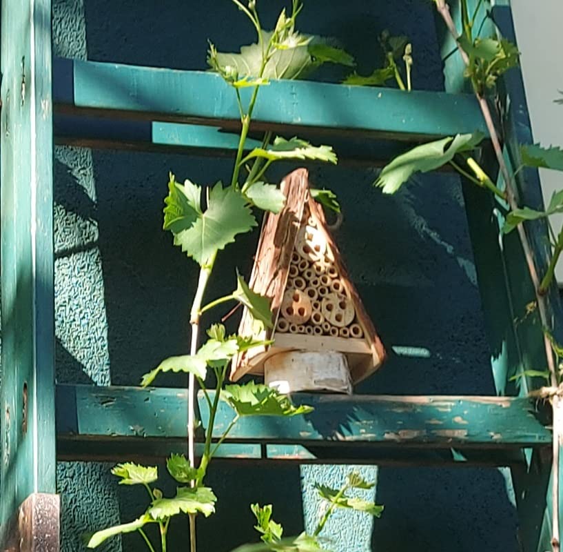Summt schon fleißig
