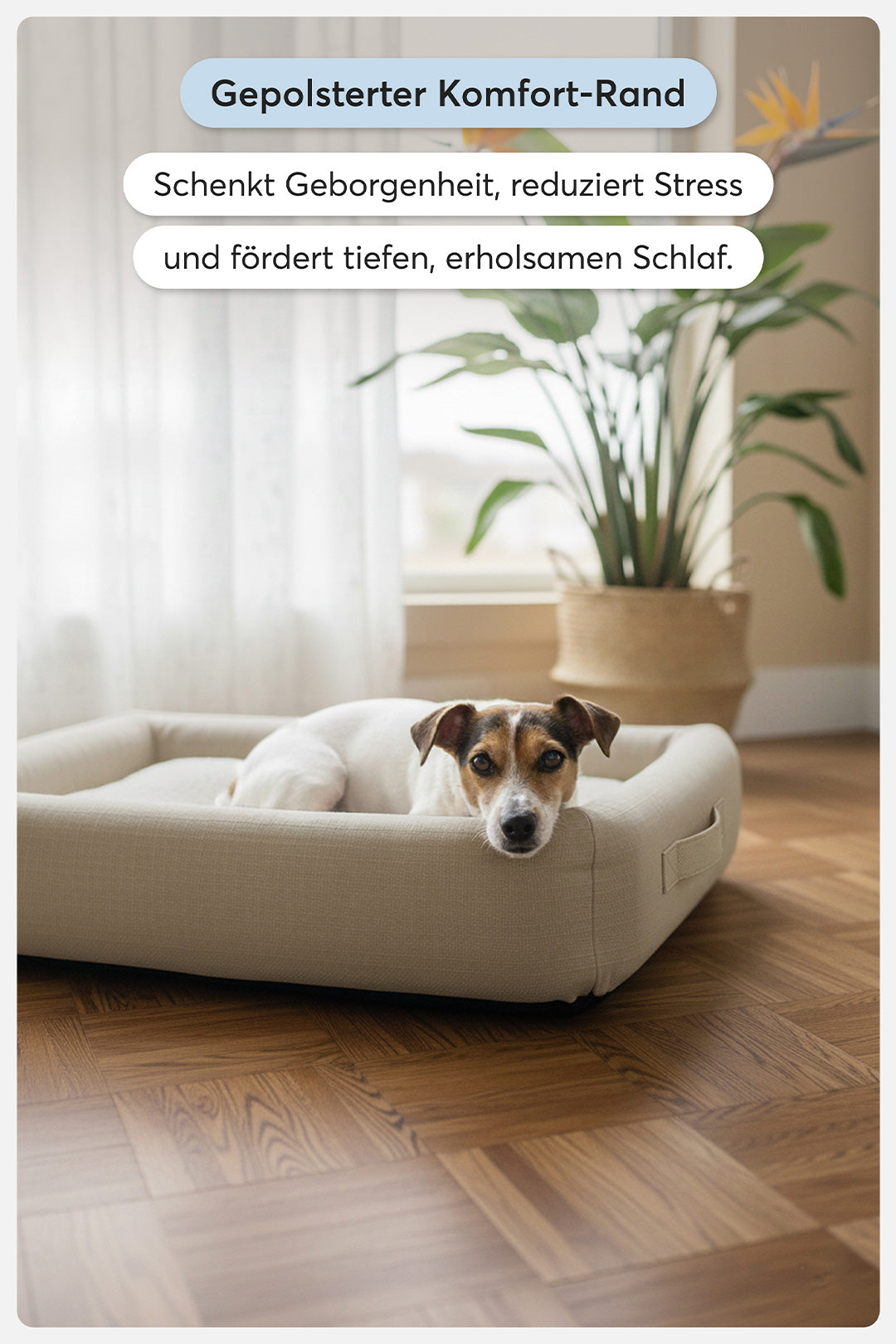 teppana-pure-beige-orthop-disches-hundebett-waschbar-memory-foam image 3