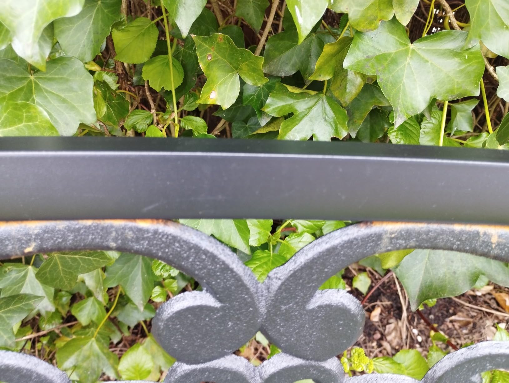 Sieht toll im Garten aus