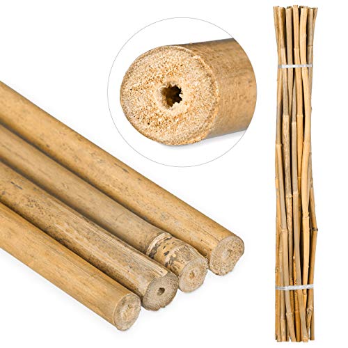 relaxdays-bambusst-be-120-cm-25er-set-natur-rankhilfe-8-12-mm image 8