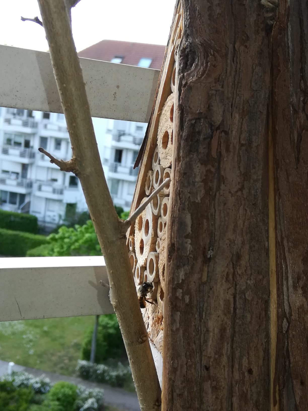 Schön und nützlich