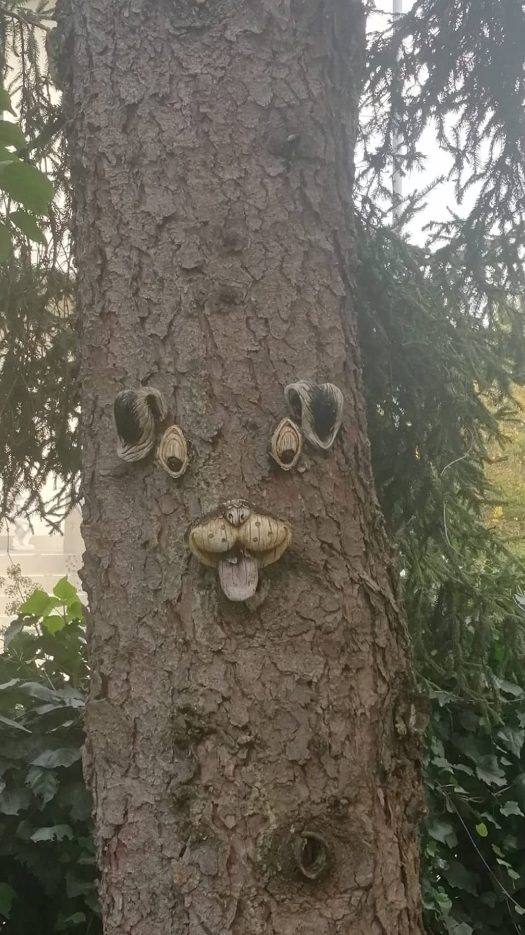 Ein Hingucker