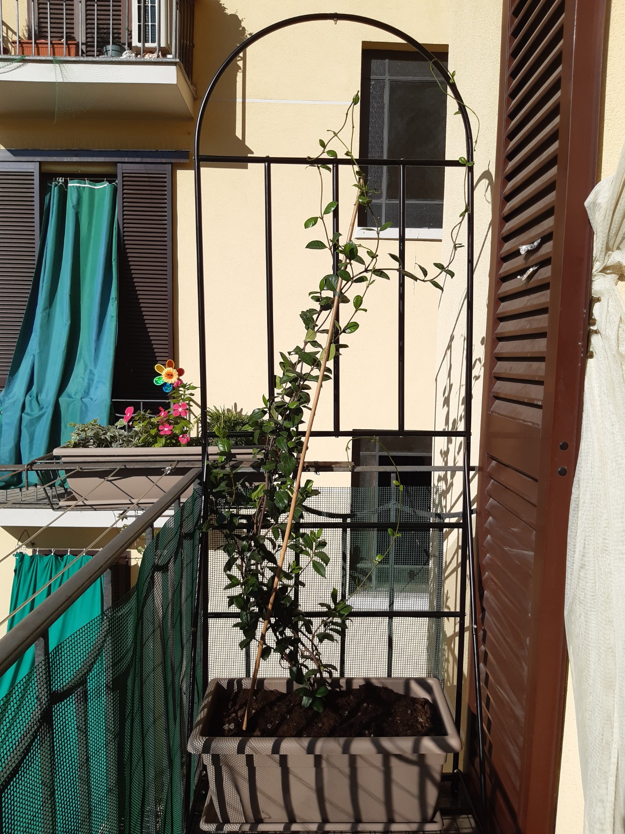 Gute Ergänzung für den Garten