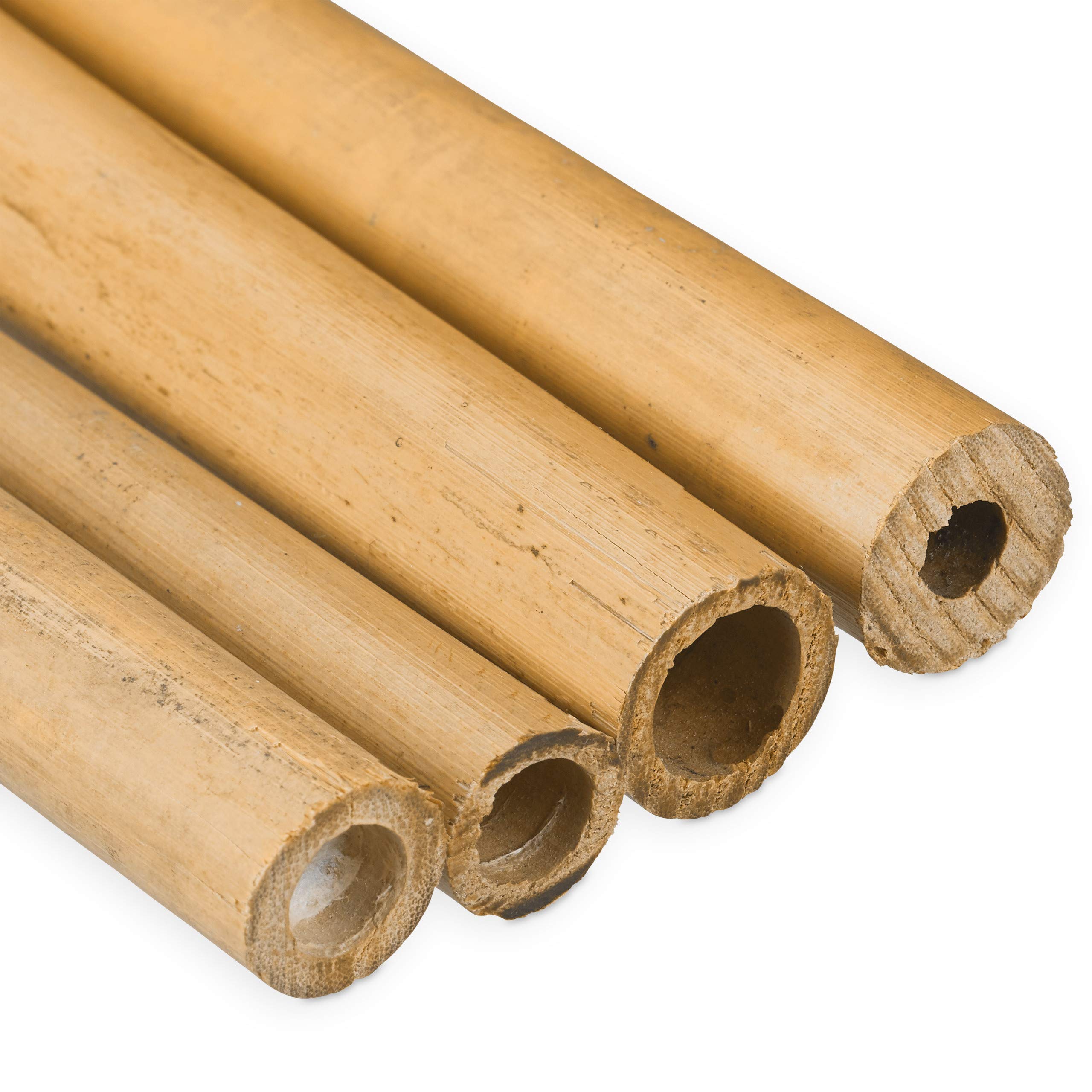 relaxdays-bambusst-be-150-cm-25er-pack-rankhilfe-natur-10-17-mm image 6