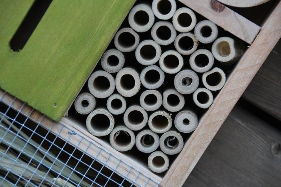 Bienenparadies