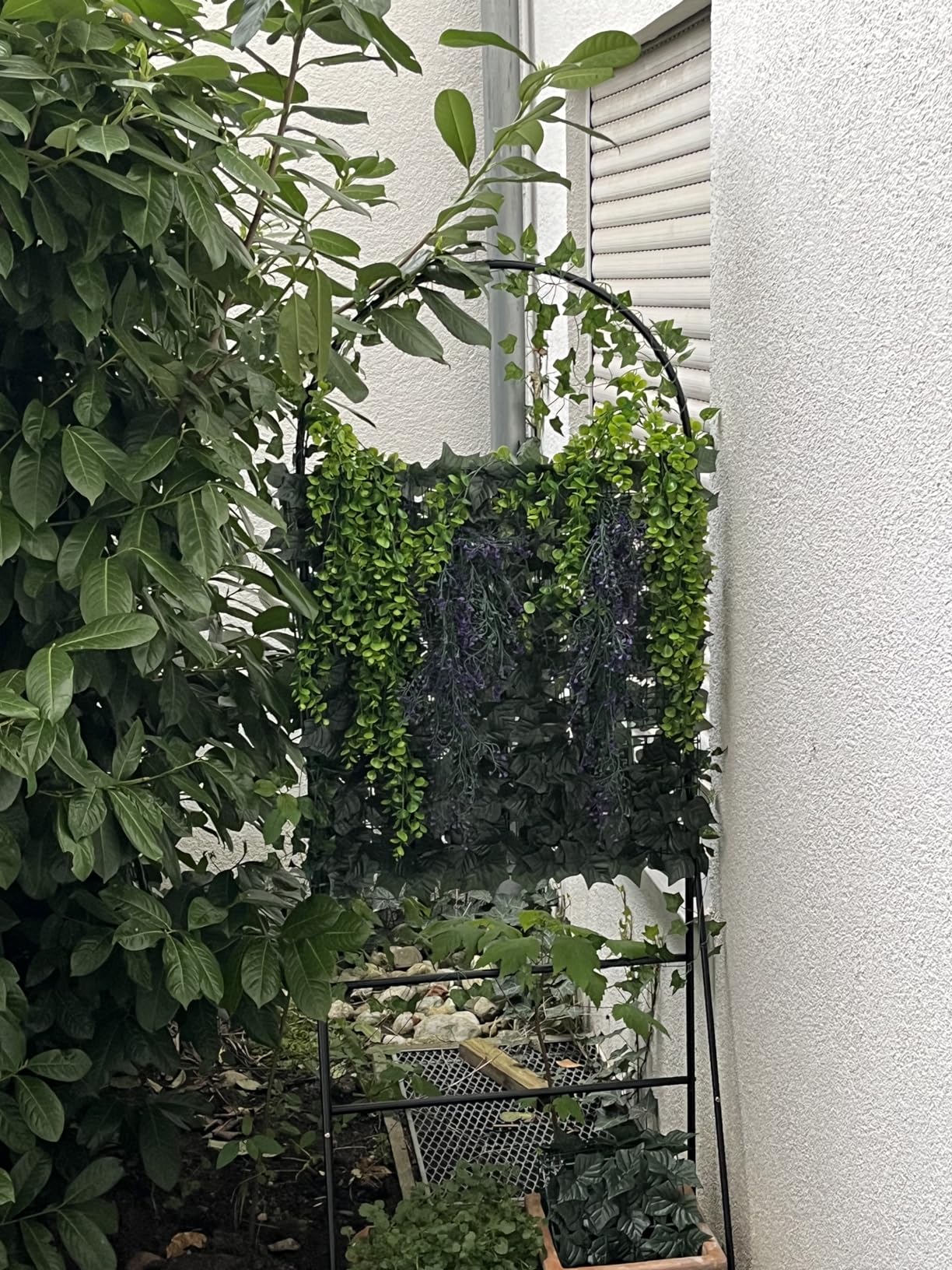 Genau das richtige für meinen Balkon
