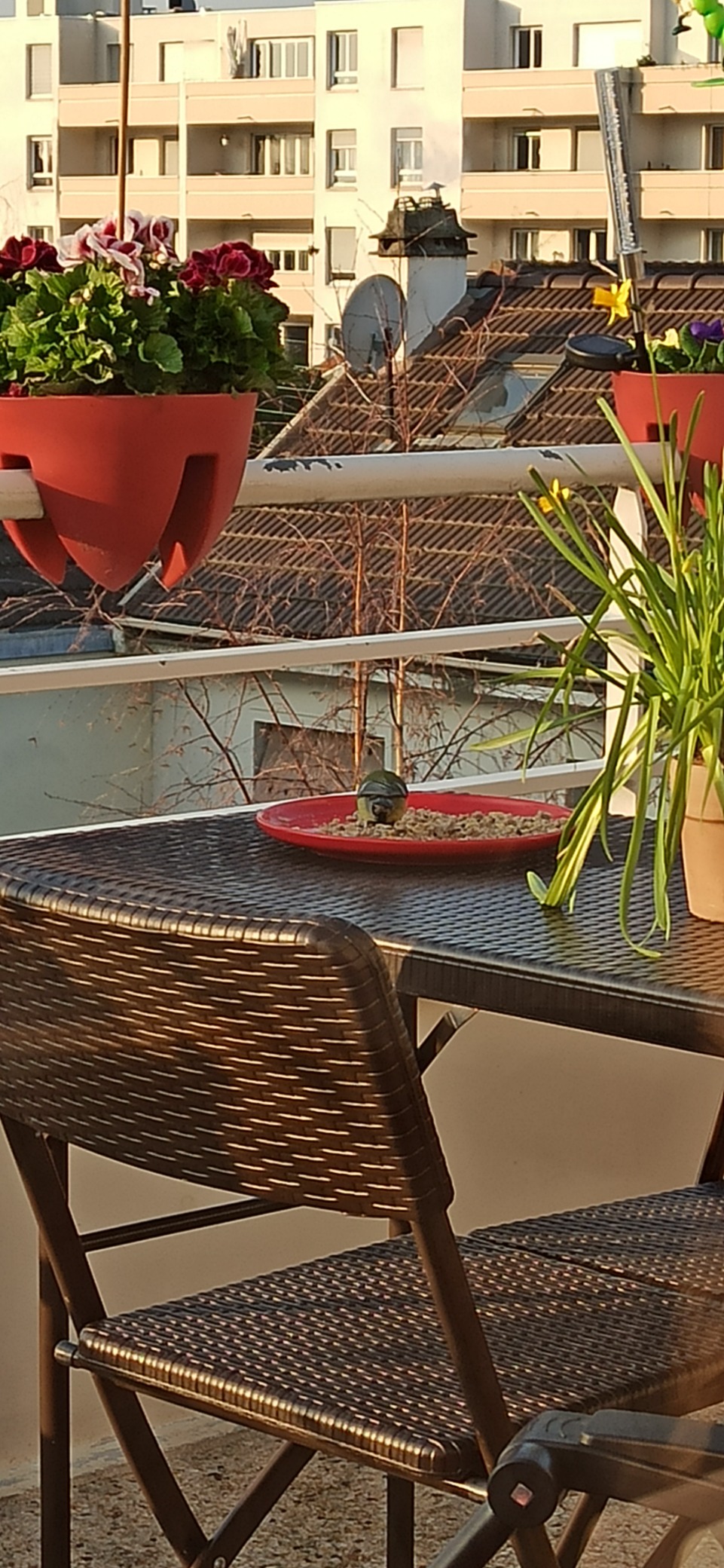 Okay, aber nichts für lange Abende