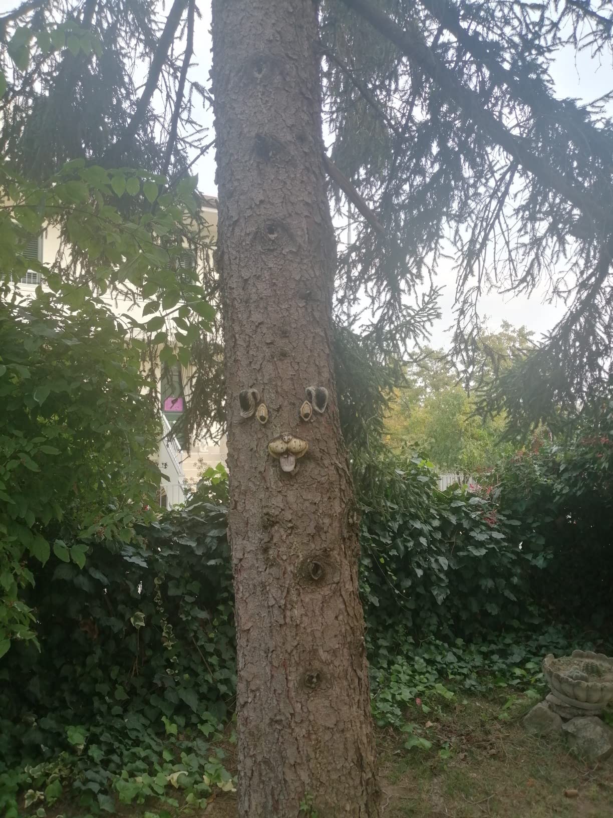 Niedlich, etwas klein