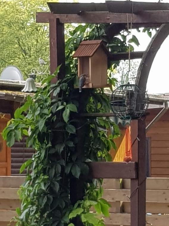 Übersteht Regen problemlos