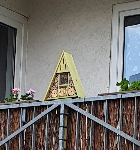Bienen sind schon eingezogen