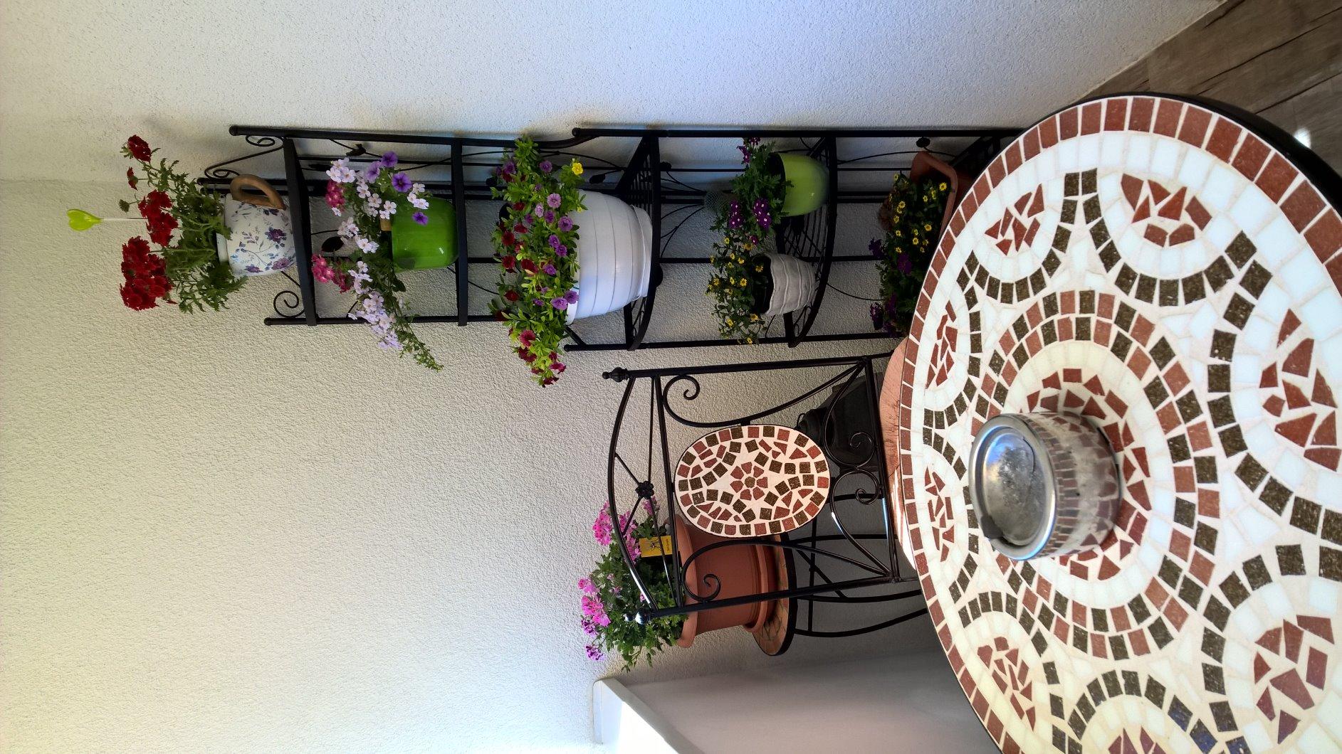 Tolle Ecke für meine Sukkulenten