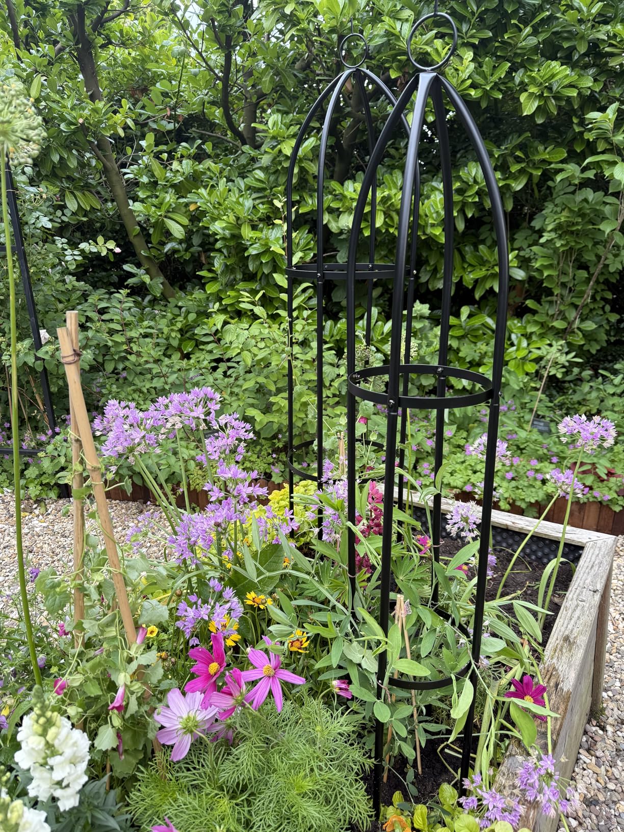 Tolle Stütze für Clematis