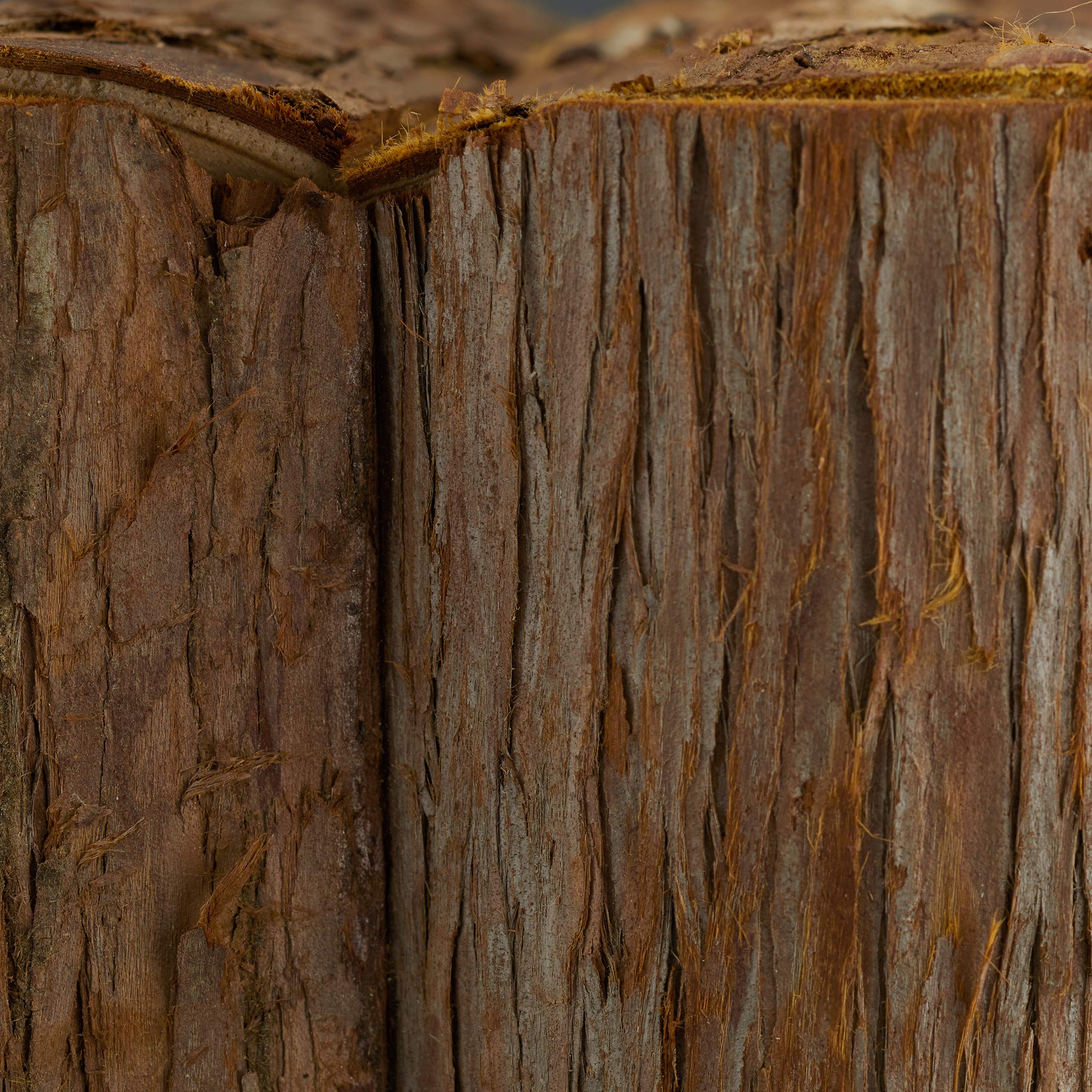 relaxdays-deko-vogelhaus-holz-natur-wei image 8