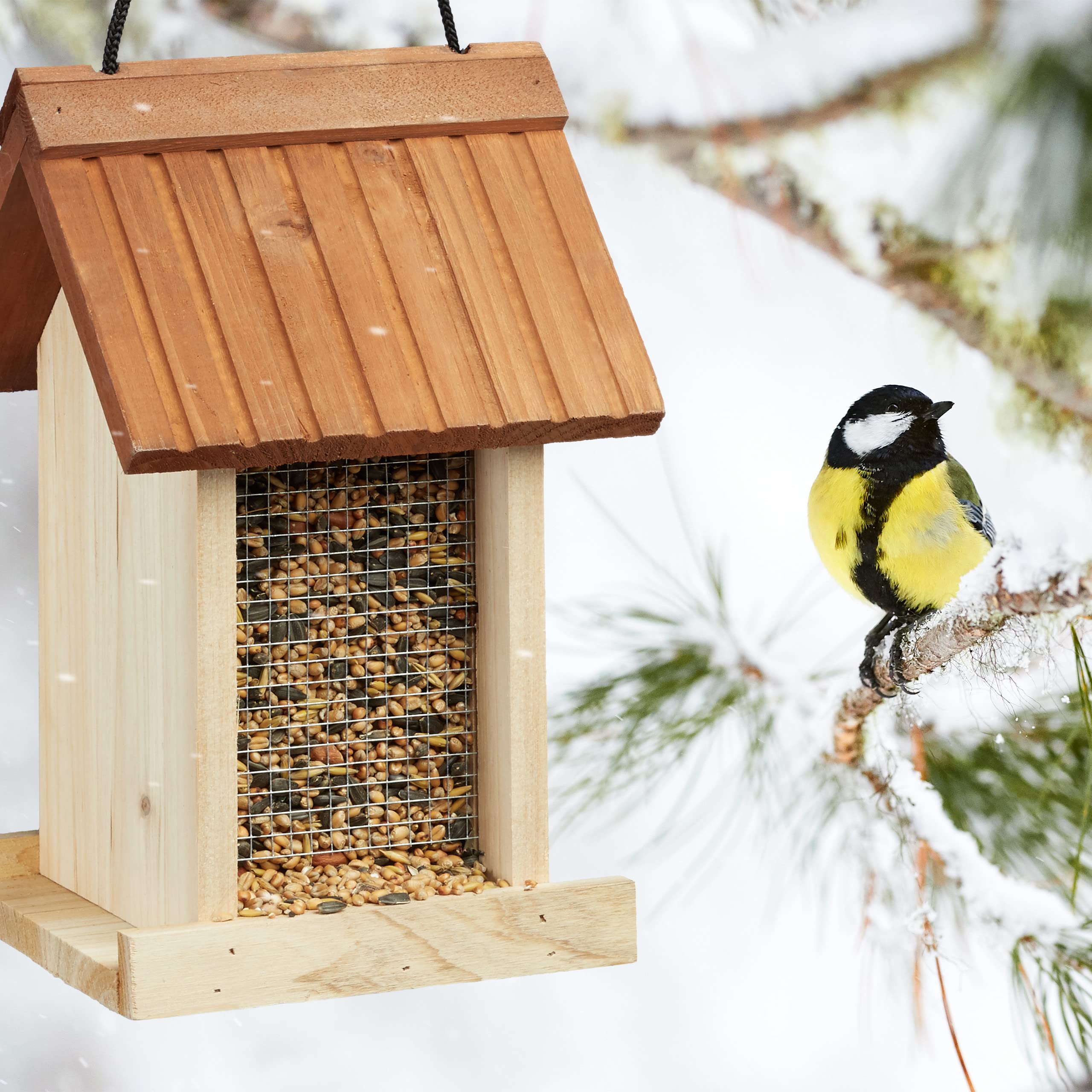 relaxdays-vogelfutterhaus-aus-holz-zum-h-ngen-27-x-17-x-18-cm-braun image 5