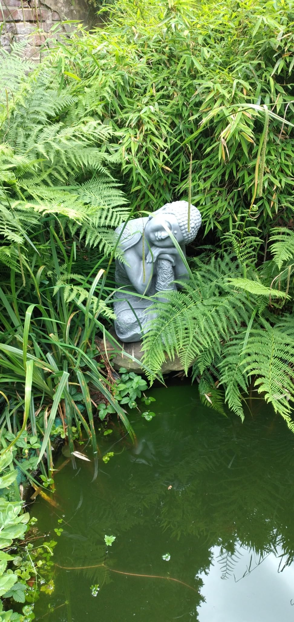 Wunderschön im Garten