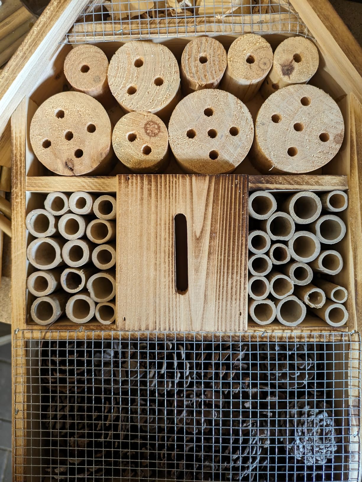 Wildbienen fühlen sich wohl