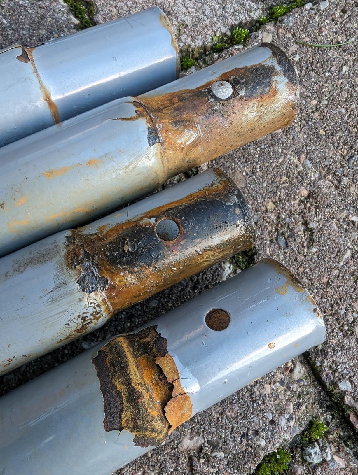 Zwei Stück gekauft