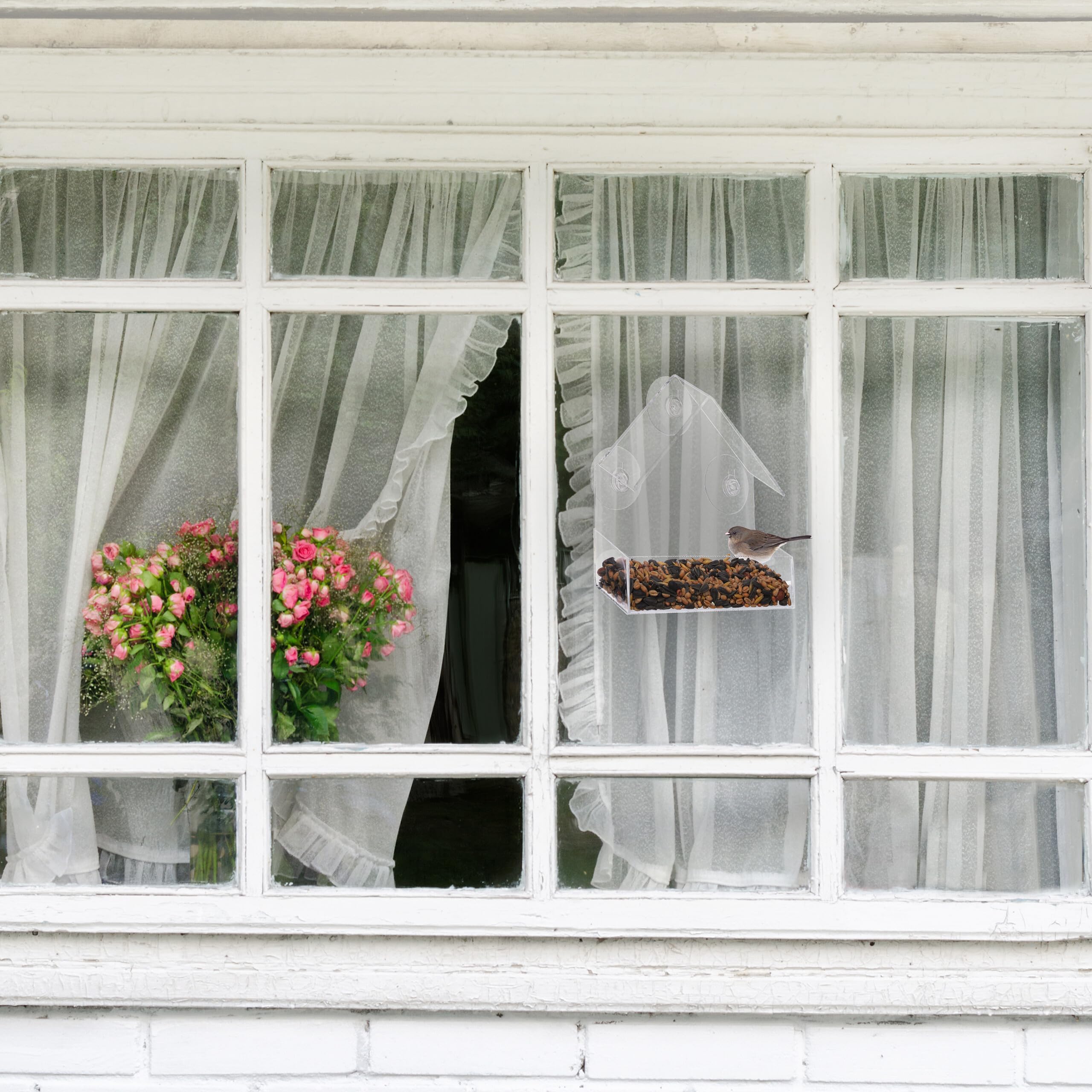 relaxdays-fenster-vogelfutterhaus-transparent-mit-3-saugn-pfen-acrylglas image 2