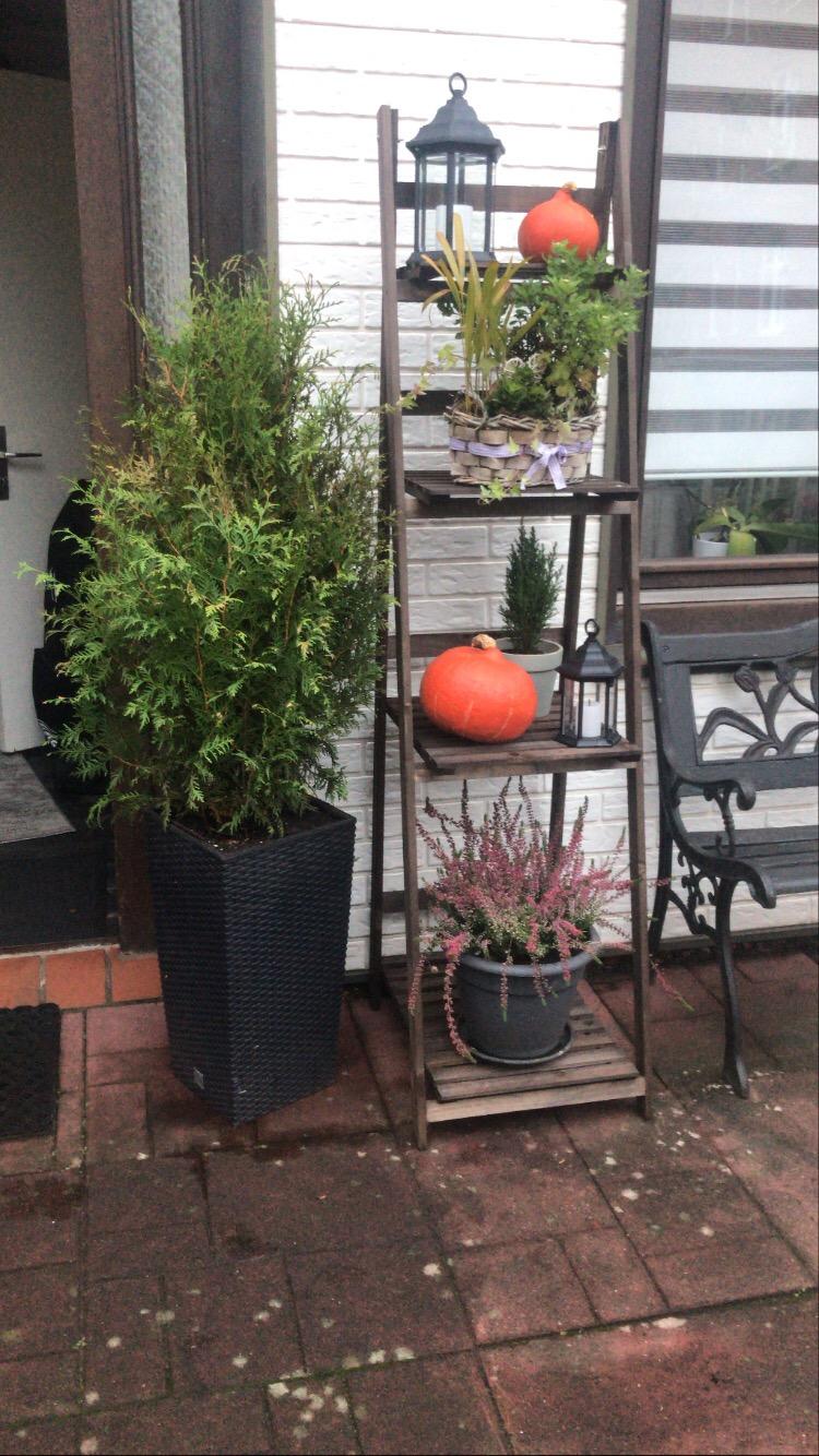 Gute Idee für den Balkon