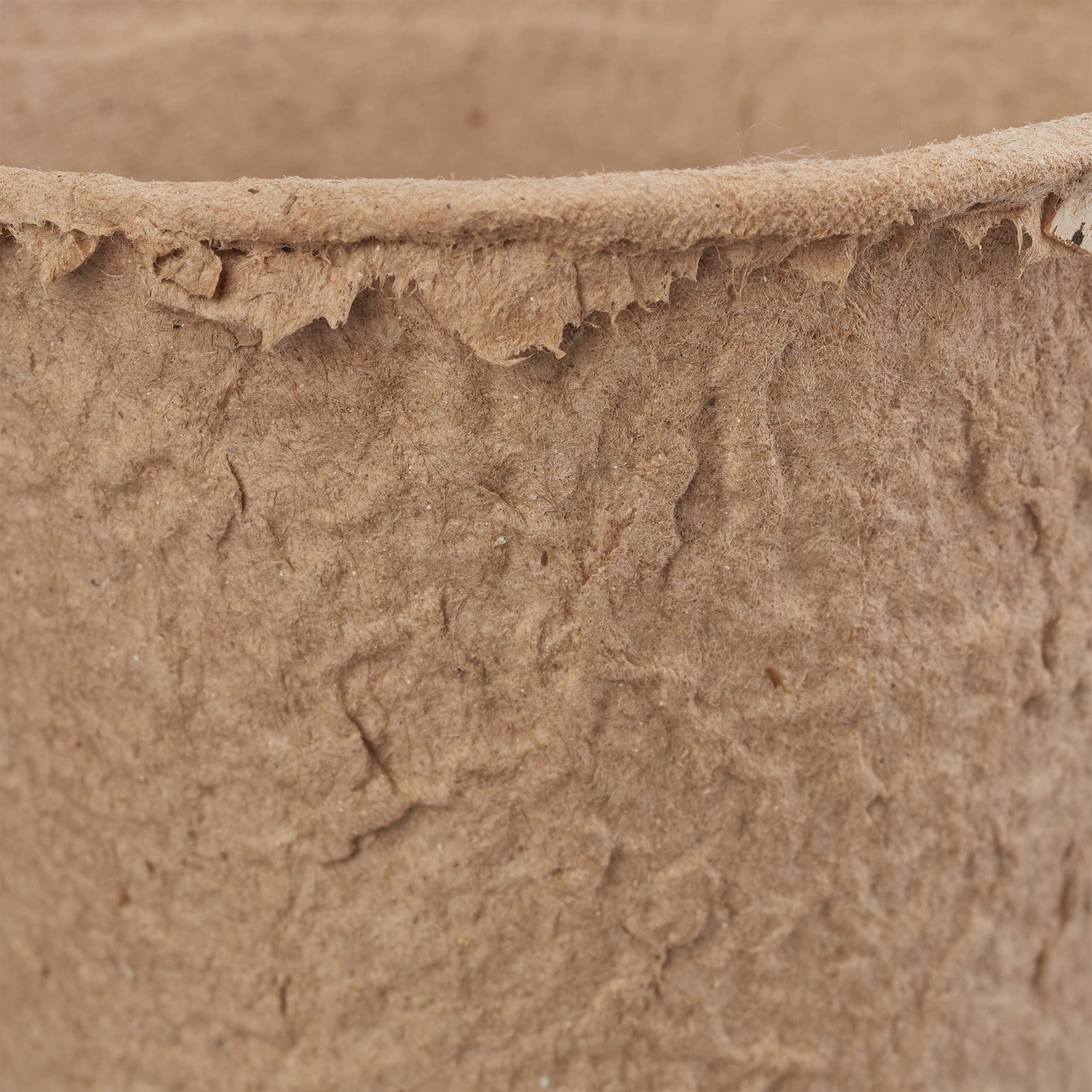 relaxdays-anzuchtt-pfe-biologisch-abbaubar-80-st-ck-rund-8-cm-zellulose-beige image 6