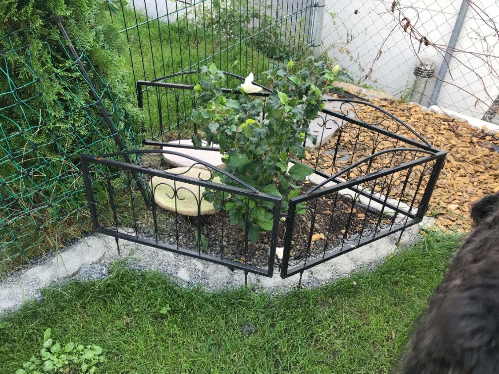 Gute Einfassung für kleine Beete