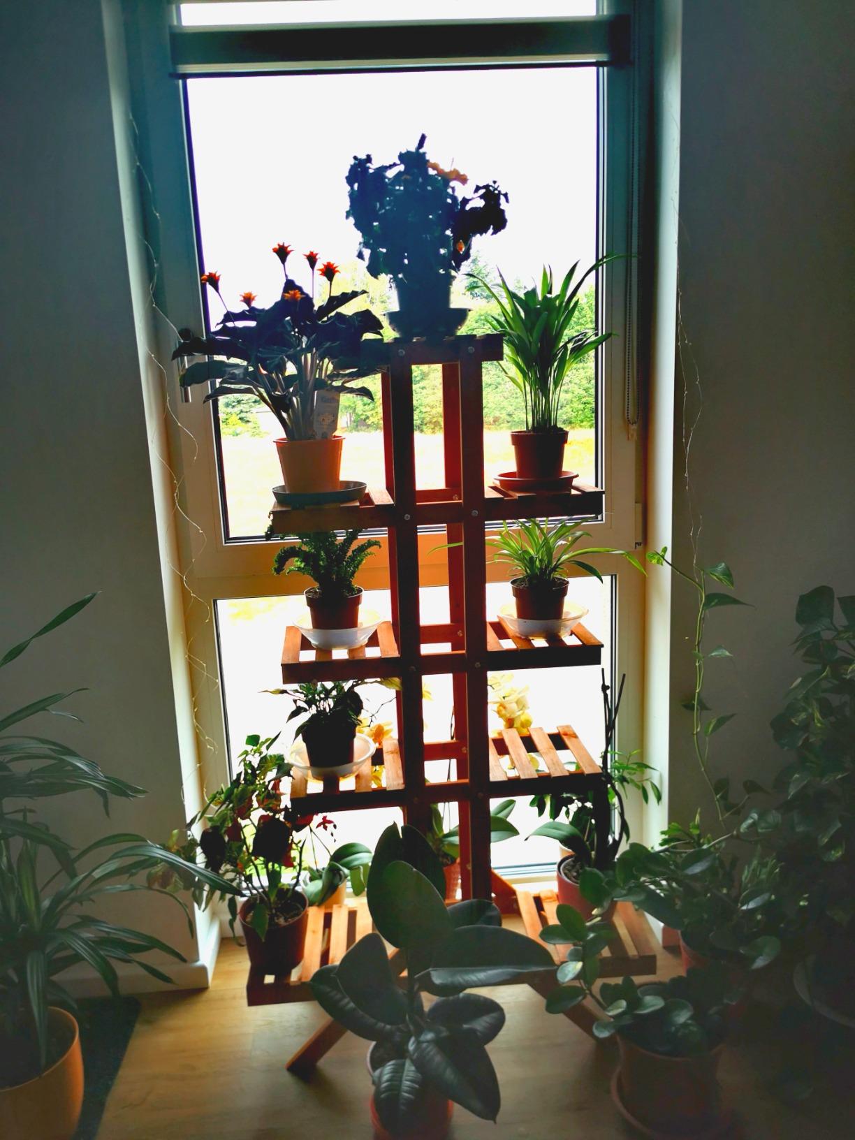 Macht was her am Balkon