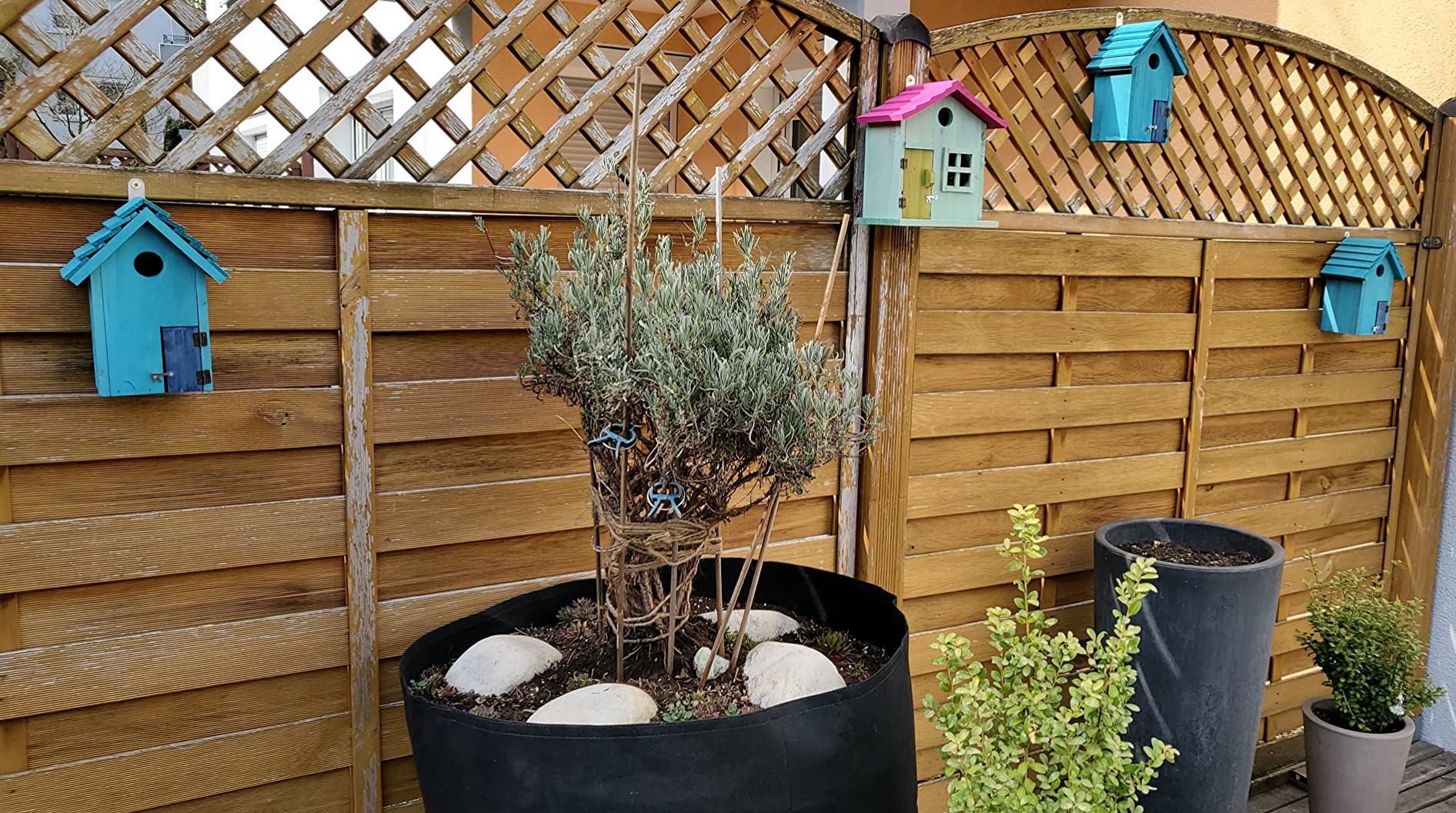 So süß im Garten