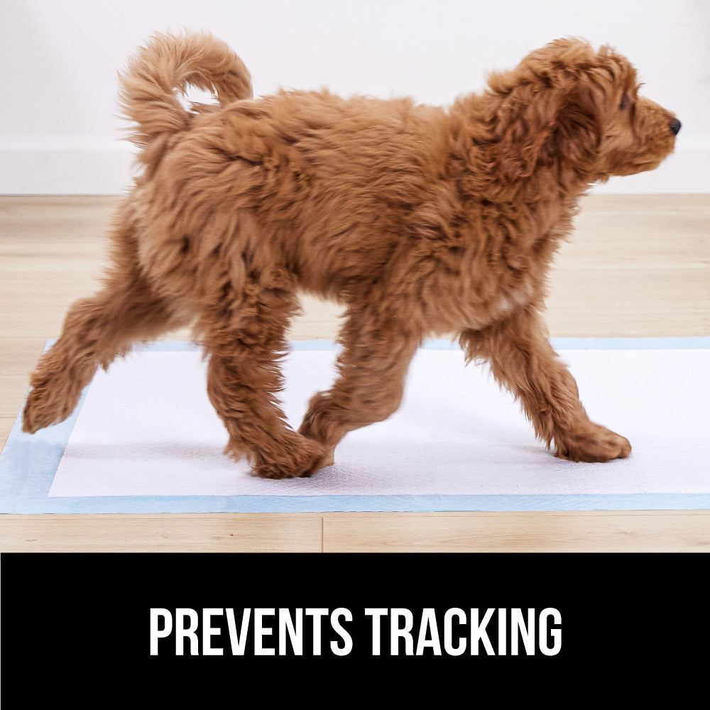 gorilla-grip-gorilla-guard-einweg-hundeunterlagen-saugstarke-pet-pads image 5