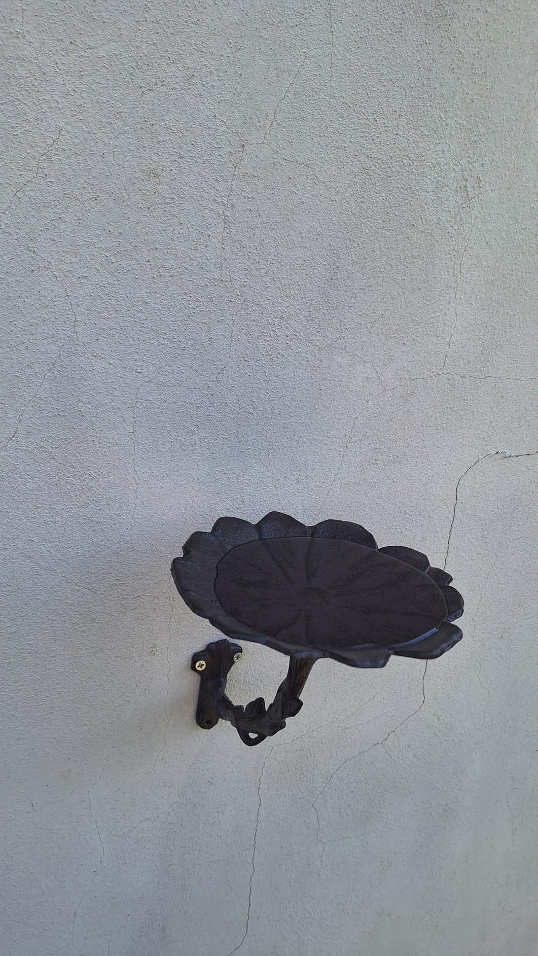 Wunderschön an der Hauswand