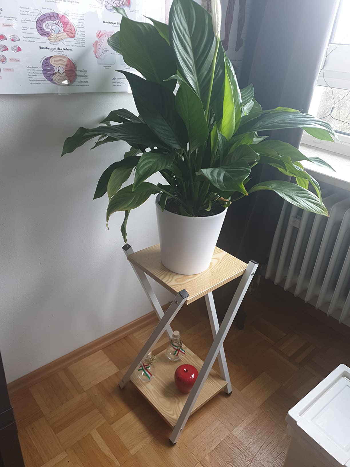 Perfekt fürs Wohnzimmer