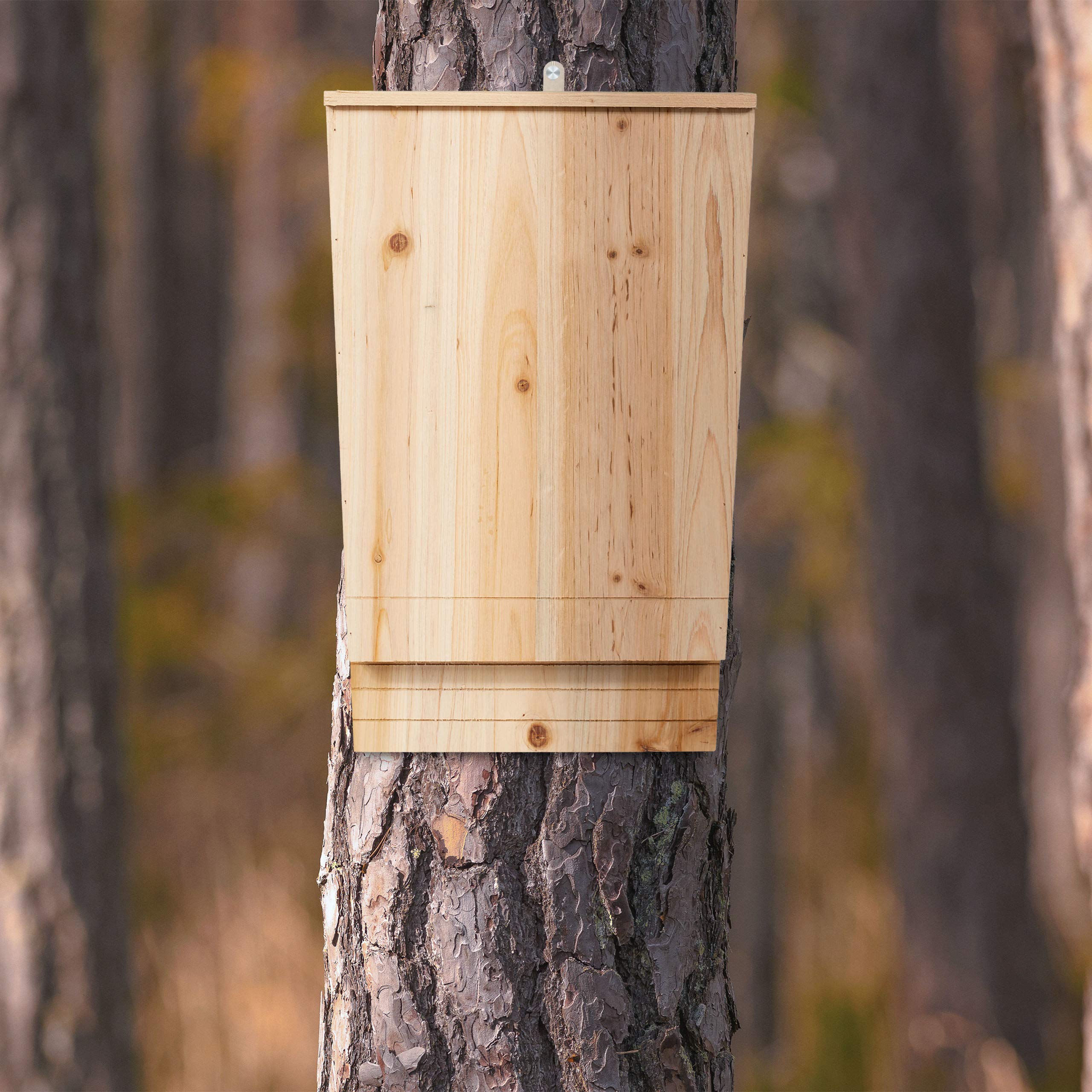 relaxdays-fledermauskasten-xl-unterschlupf-aus-holz-55x35x7-5-cm-natur image 6