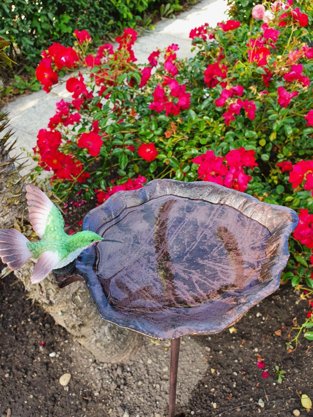 Vögel lieben sie