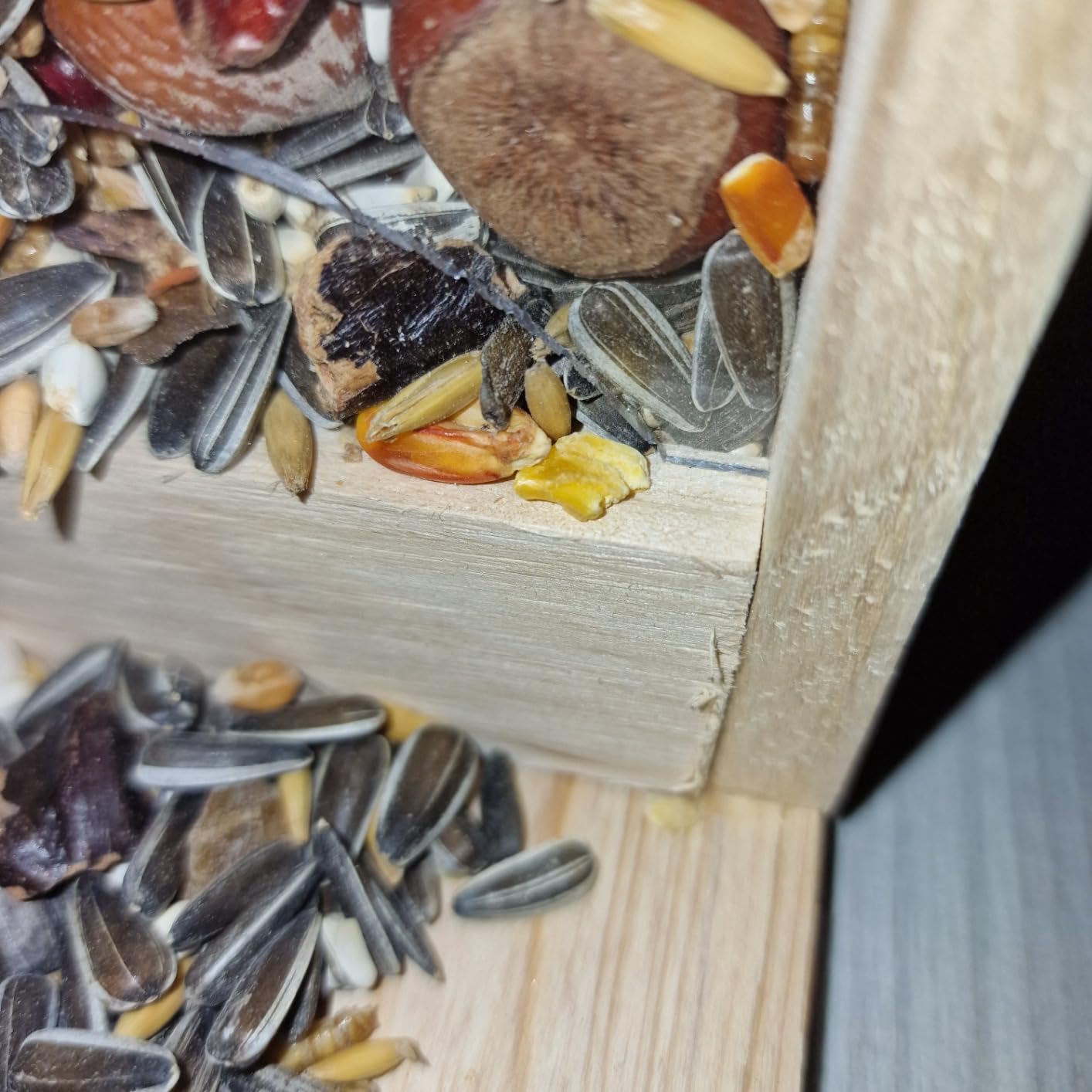 Super für Kinder