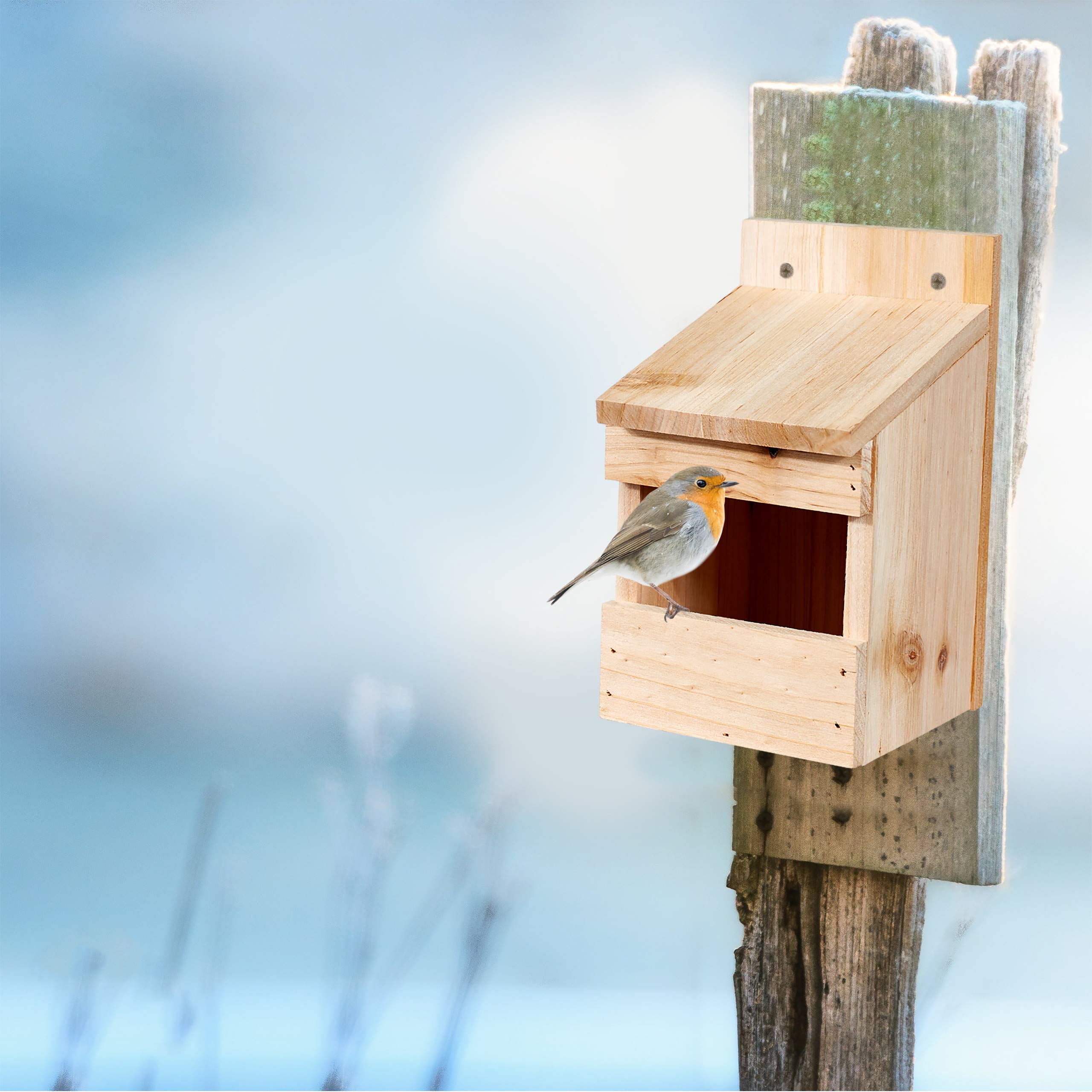 relaxdays-halbh-hle-nistkasten-20-x-12-x-15-5-cm-vogelkasten-holz-natur-f-r-amse image 2