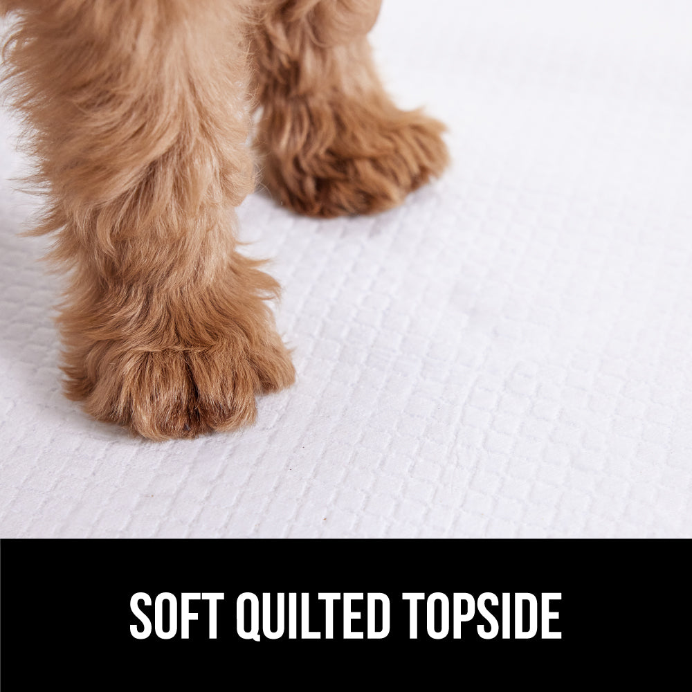 gorilla-grip-gorilla-guard-einweg-hundeunterlagen-saugstarke-pet-pads image 7