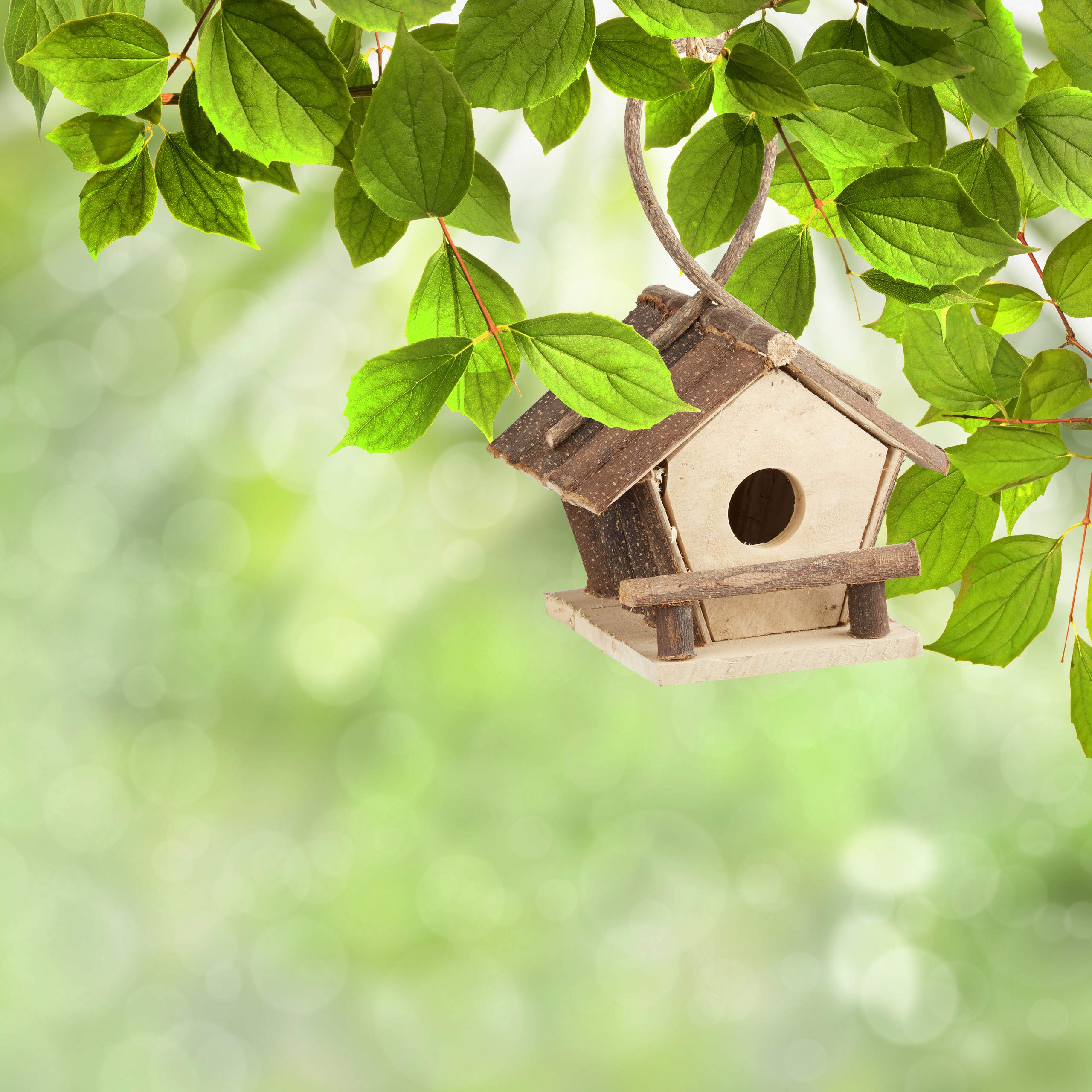 relaxdays-vogelhaus-holz-mit-aufh-ngung-natur-15-5x18x28-cm image 2
