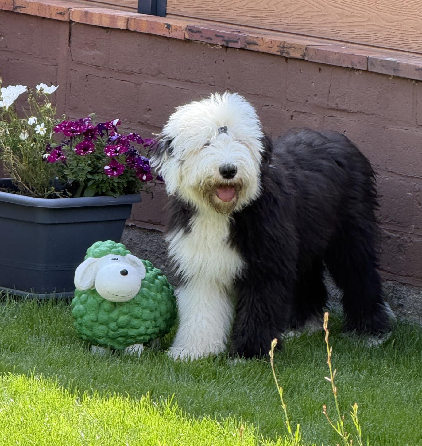 Der Hingucker im Garten