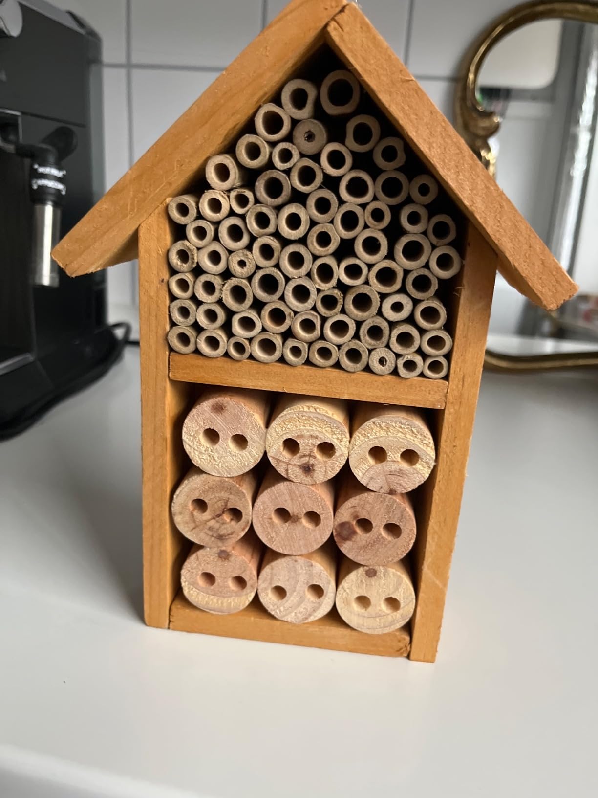Spaß für meinen Sohn