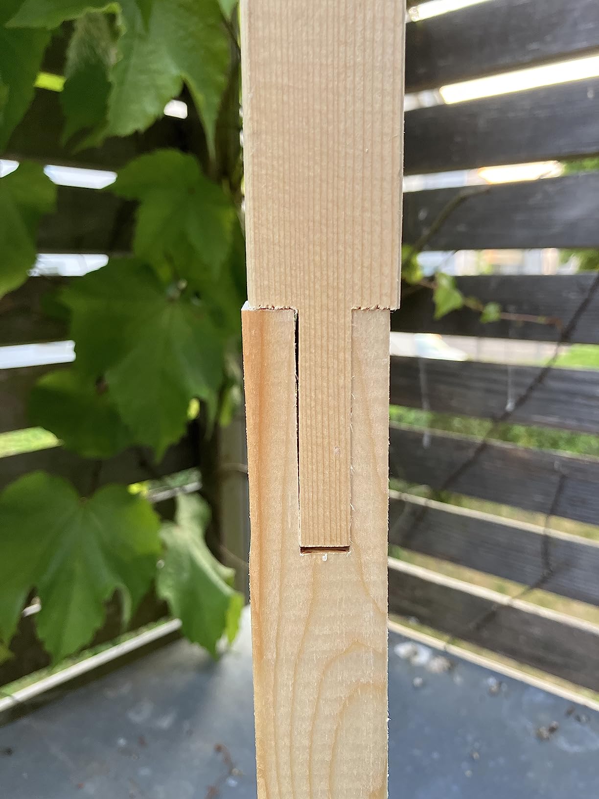 Schön groß und stabil